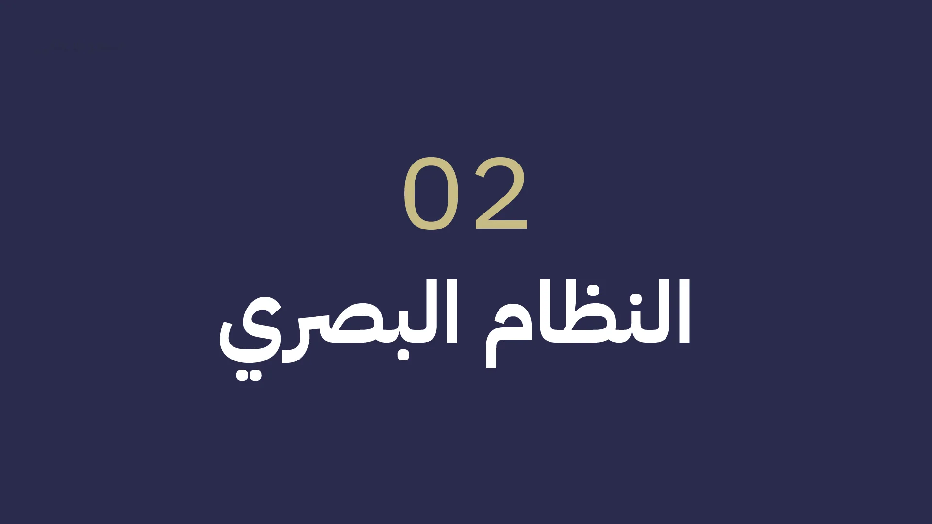RAWASY Real Estate — Section — the visual system